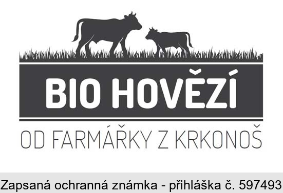 BIO HOVĚZÍ OD FARMÁŘKY Z KRKONOŠ