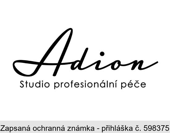 Adion Studio profesionální péče