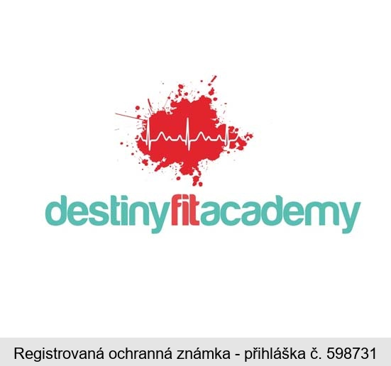destinyfitacademy