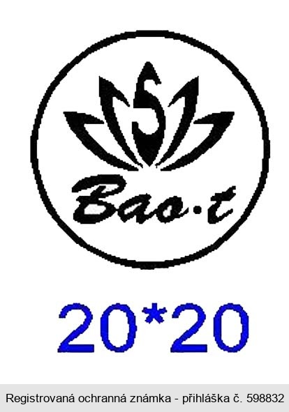 Bao-t 20*20