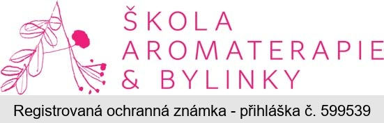ŠKOLA AROMATERAPIE & BYLINKY