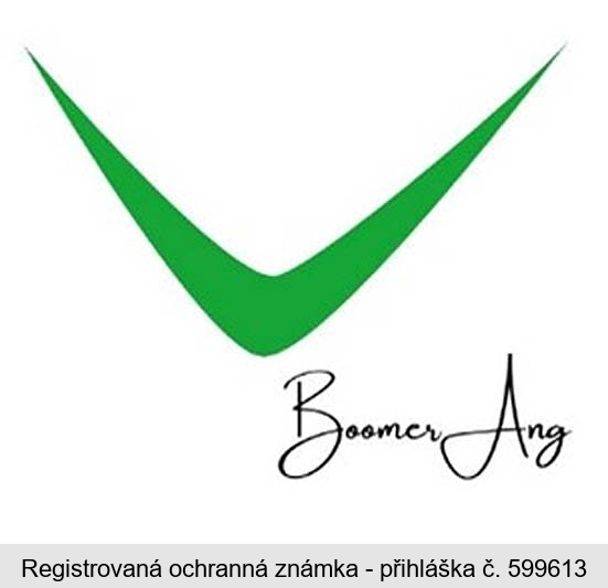 Boomer Ang