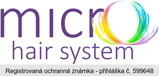 micro hair system