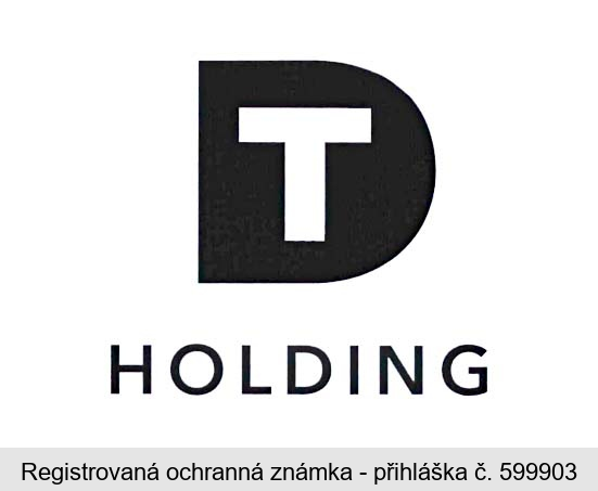 DT HOLDING