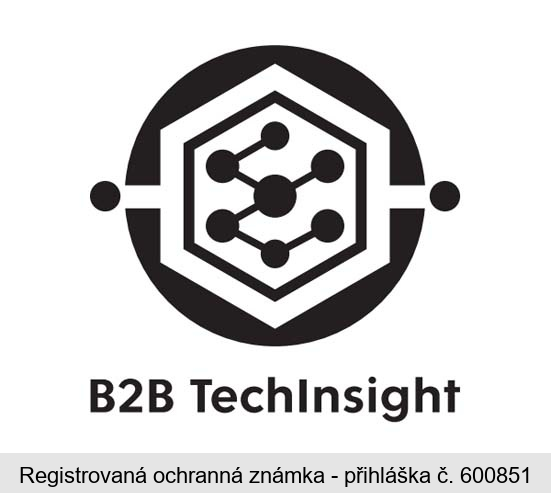 B2B TechInsight