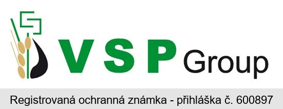 VSP Group