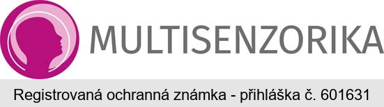 MULTISENZORIKA