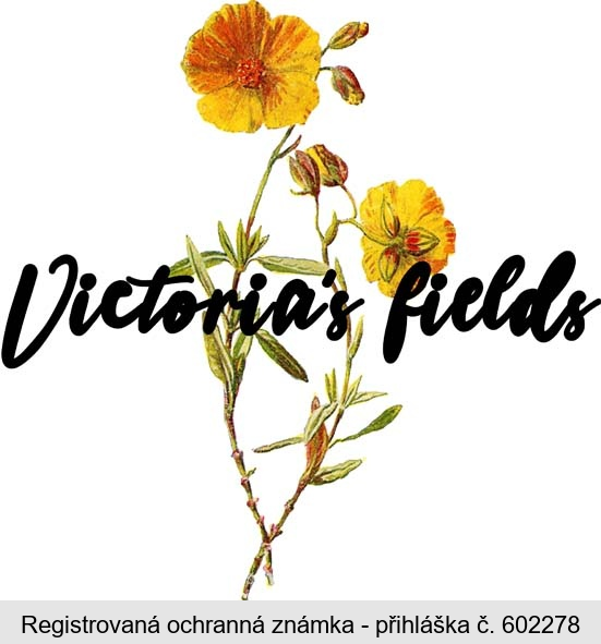 Victoria's fields