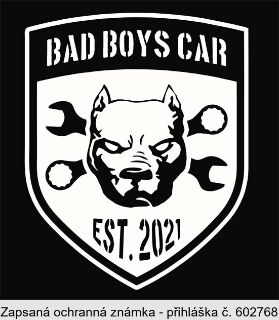 BAD BOYS CAR EST. 2021
