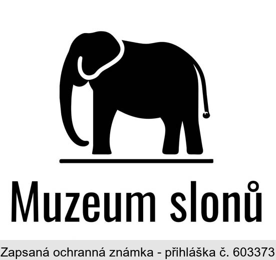 Muzeum slonů