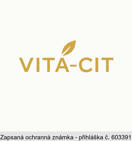 VITA-CIT