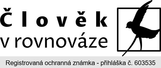 Člověk v rovnováze
