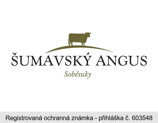 ŠUMAVSKÝ ANGUS Soběsuky