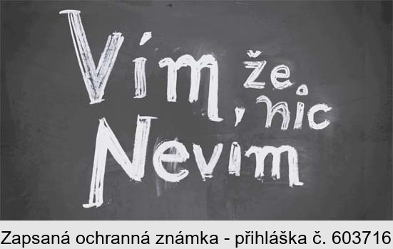 Vím, že nic Nevím