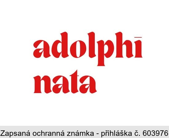 adolphi nata