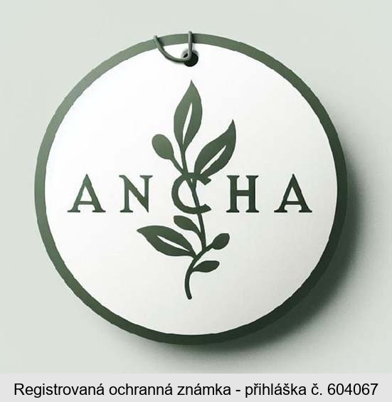 ANCHA