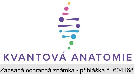 KVANTOVÁ ANATOMIE