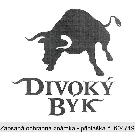 DIVOKÝ BÝK