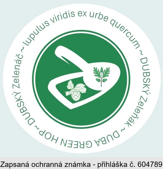 DUBSKÝ Zeleňák DUBSKÝ Zelenáč DUBA GREEN HOP lupulus viridis ex urbe quercum