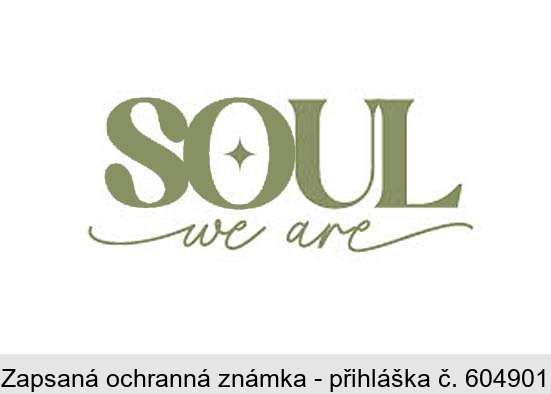 SOUL we are