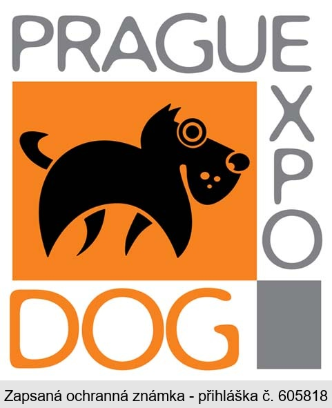 PRAGUE EXPO DOG