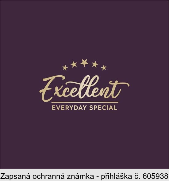 Excellent EVERYDAY SPECIAL