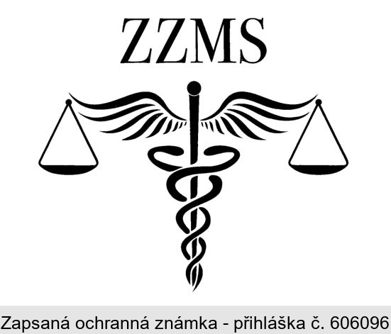 ZZMS