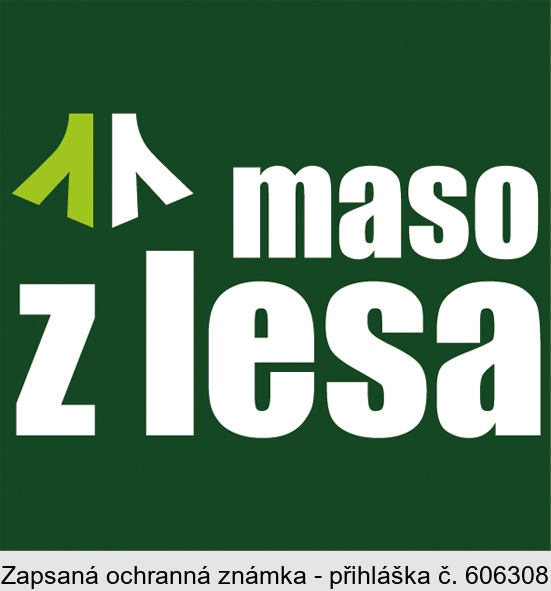 maso z lesa