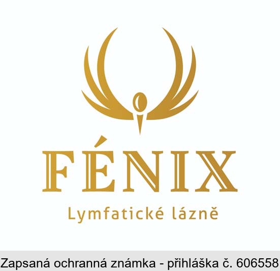 FÉNIX Lymfatické lázně