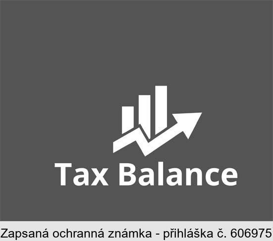 Tax Balance