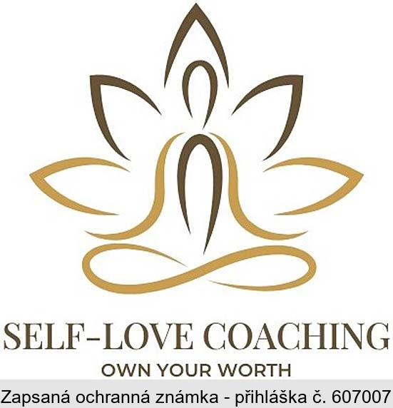 SELF-LOVE COACHING OWN YOUR WORTH