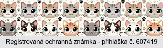 Ochranná známka