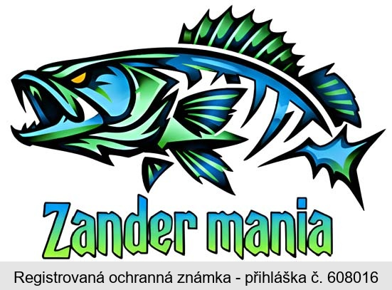 Zander mania