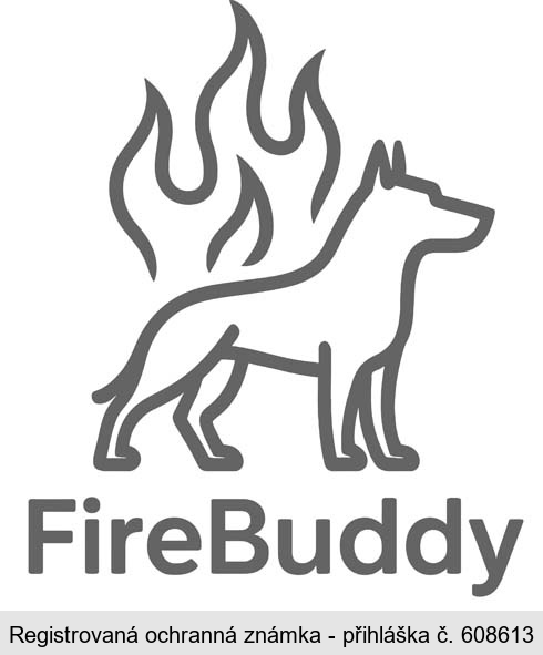 FireBuddy