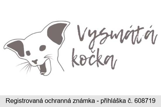 Vysmátá kočka