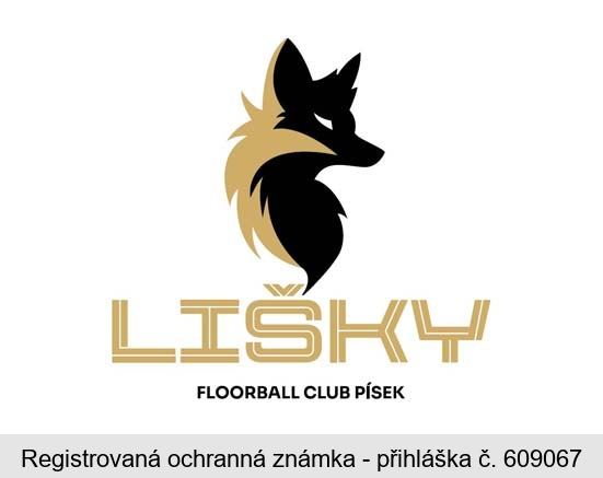 LIŠKY FLOORBALL CLUB PÍSEK