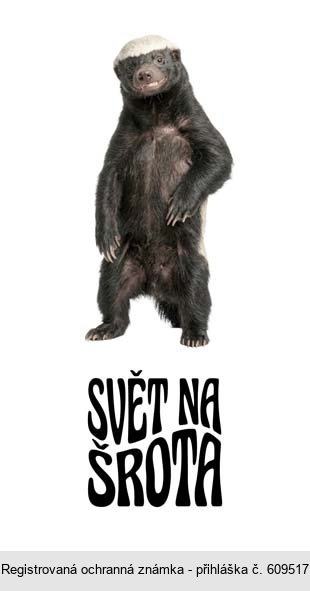 SVĚT NA ŠROTA