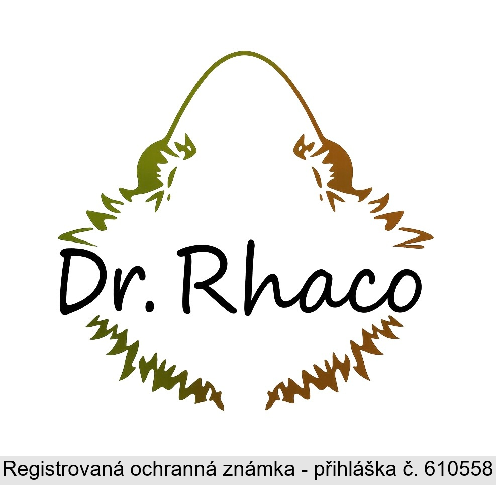 Dr. Rhaco