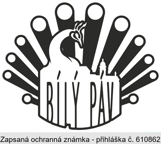 BÍLÝ PÁV