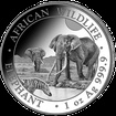 Stříbrná mince 100 Shillings Elephant (Slon africký) 1 Oz 2026 (African Wildlife Series)