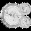 Stříbrná mince 1 AUD Australian Kangaroo (Klokan rudý) 1 Oz