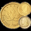 Zlatá mince 1 CAD Maple Leaf 1/20 Oz