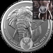 St��brn� mince Big Five - Elephant (Slon) 1 Oz 2019  (1.)