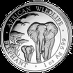 Stříbrná mince 100 Shillings Elephant (Slon africký) 1 Oz 2015 (African Wildlife Series)