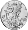 Stříbrná investiční mince American Eagle 1 Oz | 2026
