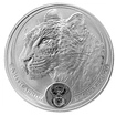 Stříbrná investiční mince Leopard 1 Oz | Big Five I | 2020