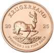 South African Mint zlatá mince Krugerrand 1 oz