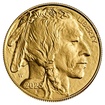 Zlat� mince 1 Oz American Buffalo 2026