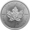 Stříbrná mince 1 Oz Maple Leaf 2026
