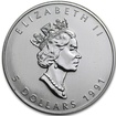 Stříbrná mince 1 Oz Maple Leaf 1991
